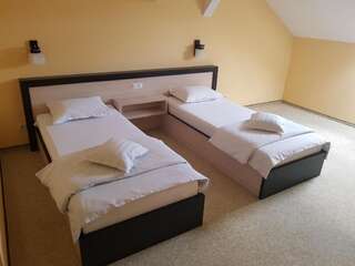 Отель Hotel Edelweiss Медиаш Двухместный номер с 1 кроватью или 2 отдельными кроватями-17