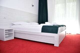 Отель Hotel Cirus Предял Стандартный двухместный номер с 1 кроватью или 2 отдельными кроватями-15