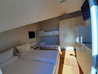 Гостевой дом Pensiunea Alpina Casi & Spa Пэлтиниш Двухместный номер с 1 кроватью или 2 отдельными кроватями-1