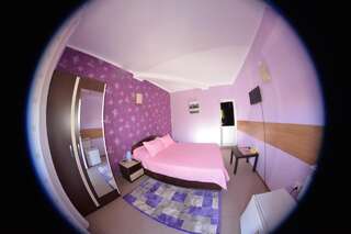 Гостевой дом Casa Alecsandru Эфорие-Норд