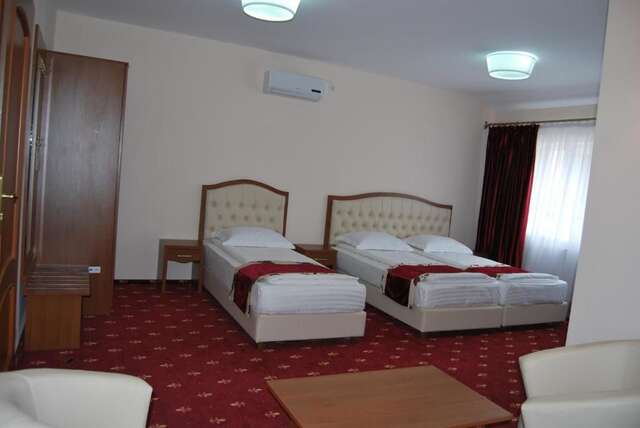 Хостелы Hostel Paltinis Хунедоара-55