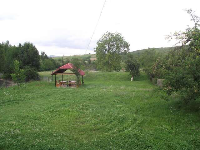 Гостевой дом Casa Linistita Chişcău-46