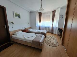Гостевой дом Pensiunea Stan Cisnădie Двухместный номер с 1 кроватью или 2 отдельными кроватями-9