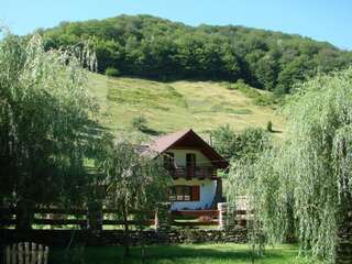 Дома для отпуска Casa de Piatra Strungari Дом для отпуска-53