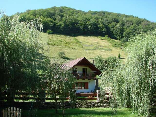 Дома для отпуска Casa de Piatra Strungari-55