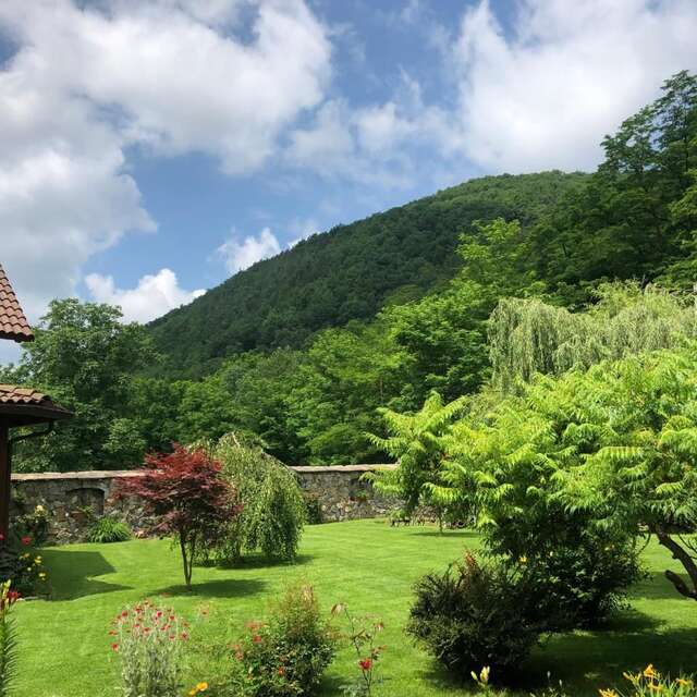 Дома для отпуска Casa de Piatra Strungari-11