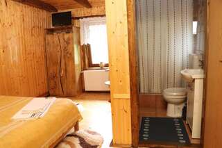 Гостевой дом Casa Bunicii Costeşti Двухместный номер с 1 кроватью и собственной ванной комнатой-15