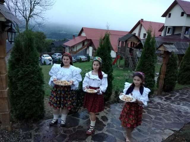 Гостевой дом Pensiunea Valea Branzei Năneşti-10