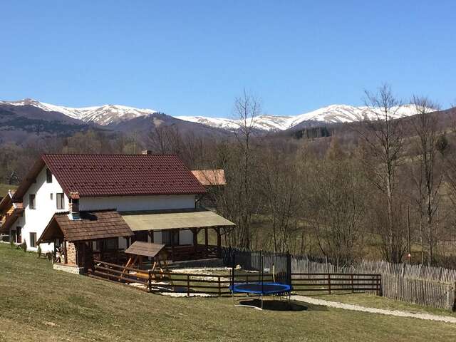 Виллы Cabana Valea Floreiului Teşila-21