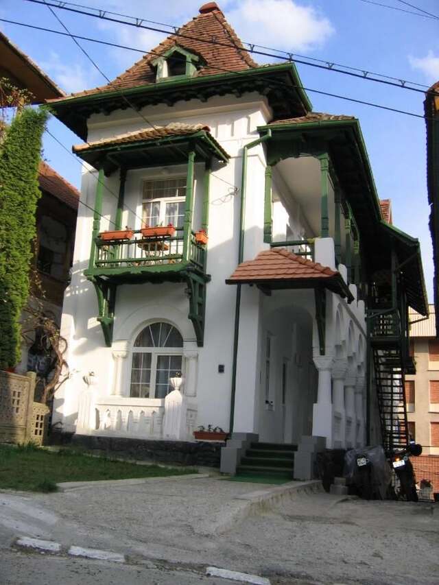 Гостевой дом Casa Olanescu Бэи­ле-Олэ­неш­ти-3