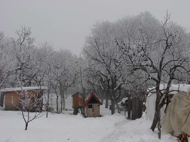 Загородные дома Pensiunea Casa Filoxenia Хорезу-18