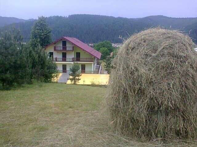 Гостевой дом Grandemi Belvedere Bucovina Frasin-6