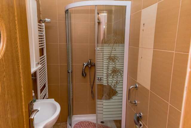 Гостевой дом Noring Guest House Lupeni-30