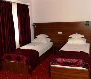 Отель Hotel Orhideea Бузэу Двухместный номер с 2 отдельными кроватями-12