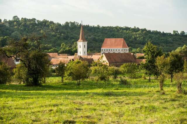 Отели типа «постель и завтрак» Cloasterf Haus Cloaşterf-7