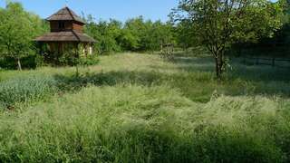 Дома для отпуска Woodenhouse Maramures Вишеу-де-Сус Дом для отпуска-38