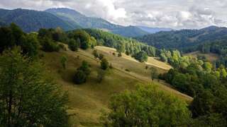 Дома для отпуска Woodenhouse Maramures Вишеу-де-Сус Дом для отпуска-44