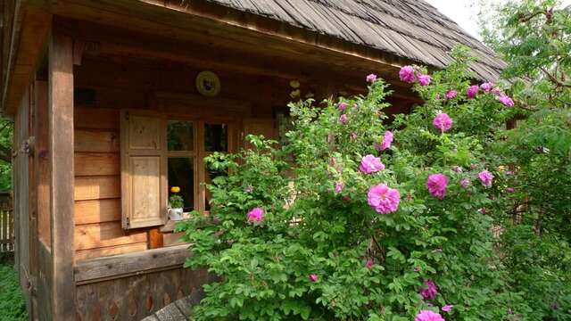 Дома для отпуска Woodenhouse Maramures Вишеу-де-Сус-28