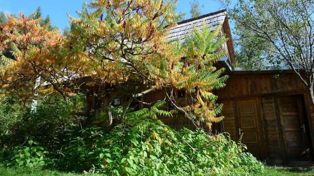 Дома для отпуска Woodenhouse Maramures Вишеу-де-Сус-67