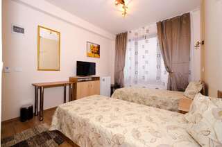 Отель Camere-Apartament Steyna Алба-Юлия Двухместный номер с 2 отдельными кроватями-4