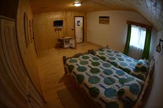 Гостевой дом Pensiunea Lupul Dacic Costeşti Двухместный номер с 1 кроватью или 2 отдельными кроватями-3
