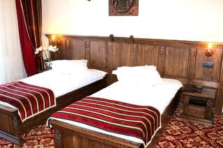 Отель Castel Transilvania Бая-Маре Двухместный номер Делюкс с 2 отдельными кроватями-5