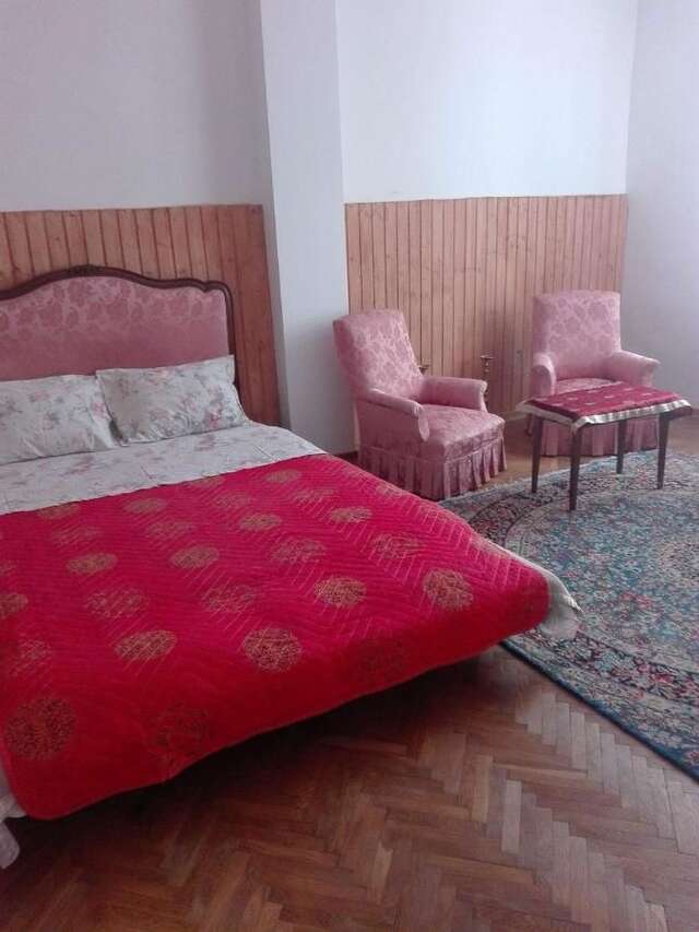 Хостелы Alfredo Hostel Крайова-3