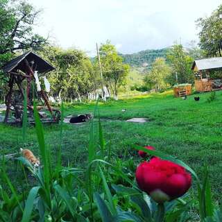 Загородные дома Rustic Retreat Sejour Casa Mountain Sanctuary,Roşia Montana Roşia Montană Улучшенный номер с кроватью размера «king-size»-23