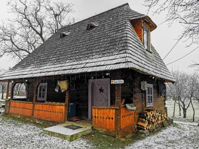 Гостевой дом Complex tradițional Casa din Vale Breb-82