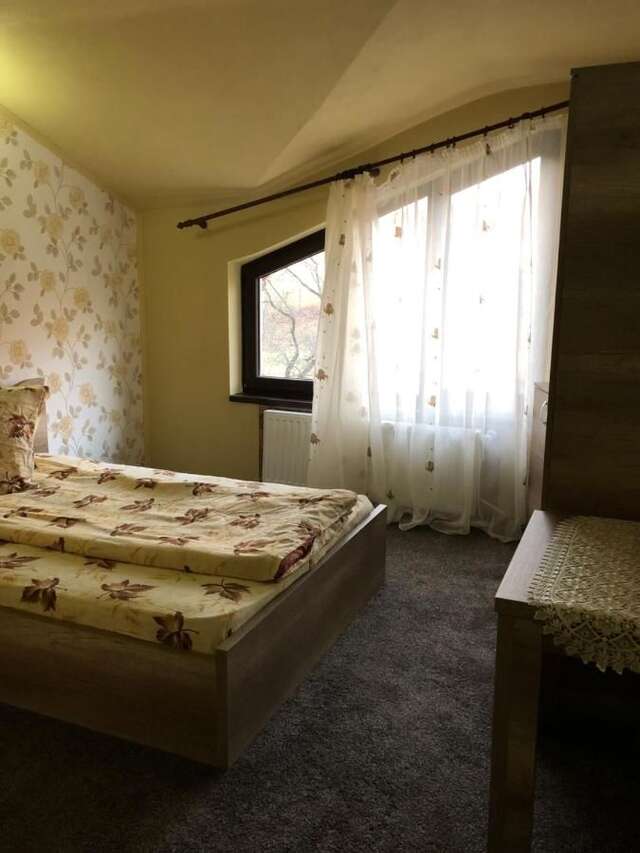 Хостелы Hostel Mirela Chişcău-20