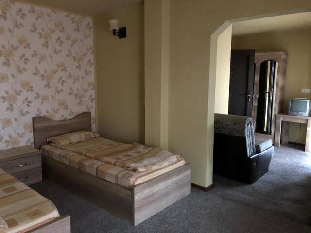 Хостелы Hostel Mirela Chişcău-27