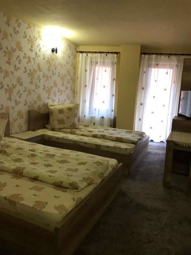 Хостелы Hostel Mirela Chişcău-30