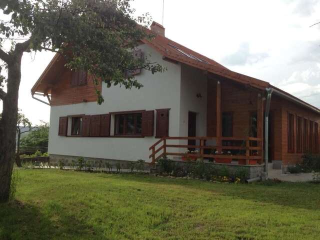 Гостевой дом Eszter Guesthouse Sîncrăieni-3