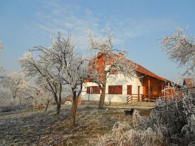 Гостевой дом Eszter Guesthouse Sîncrăieni-16