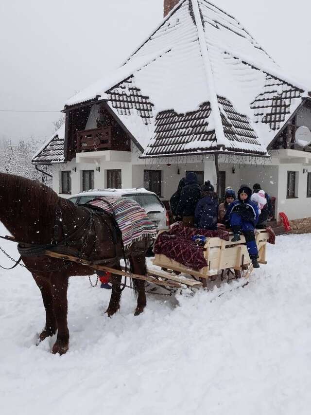 Гостевой дом Pensiunea Casa Iancului Vidra-26