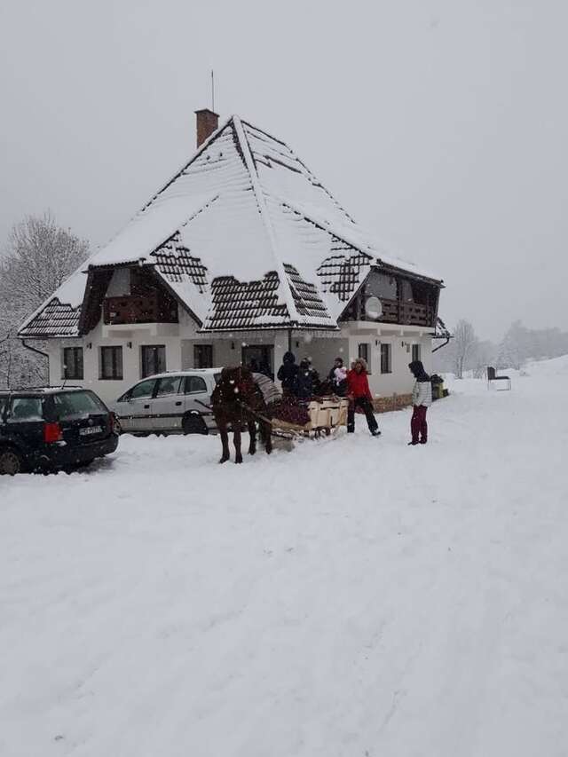 Гостевой дом Pensiunea Casa Iancului Vidra-28