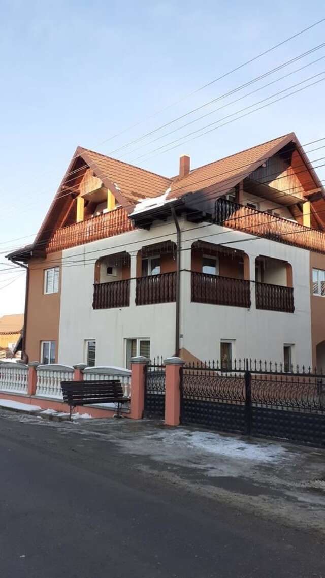 Гостевой дом Casa Nicoleta Гура-Гуморулуй-7