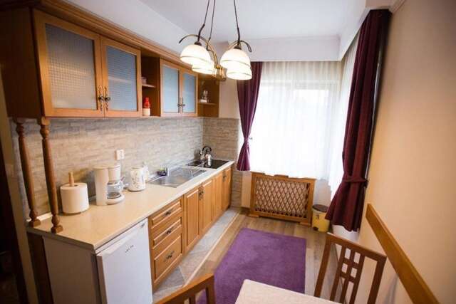 Апарт-отели Aparthotel Anna Apartmanház Malnaş Băi-9