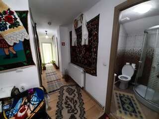 Проживание в семье Casa Pintea de Sub Coastă Breb Двухместный номер с 1 кроватью и собственной ванной комнатой вне номера-1