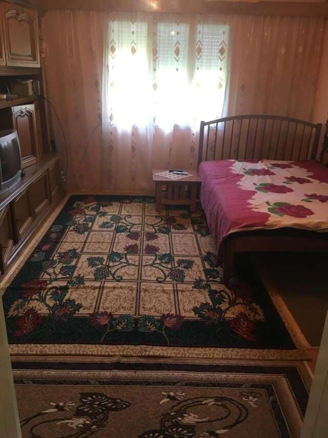 Дома для отпуска Casa Danut Vidra-21