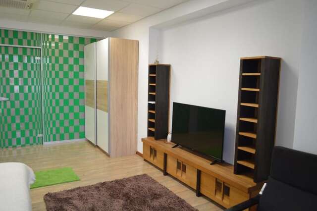 Проживание в семье Vasarely Luxury Flat Сату-Маре-32