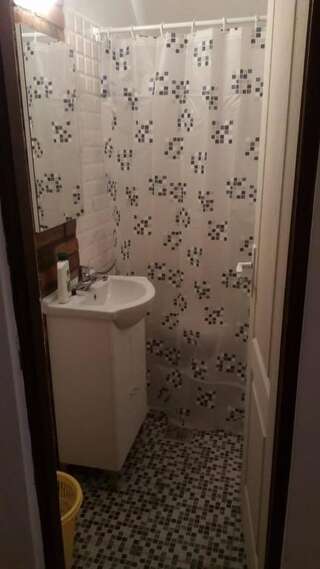 Проживание в семье Casa Cezara Silvaşu de Jos Трехместный номер с собственной ванной комнатой-5