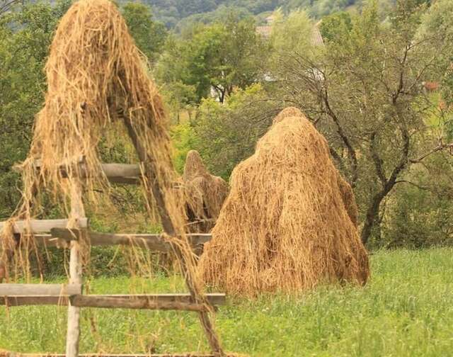 Гостевой дом Popasul Găleșean Galeşu-37