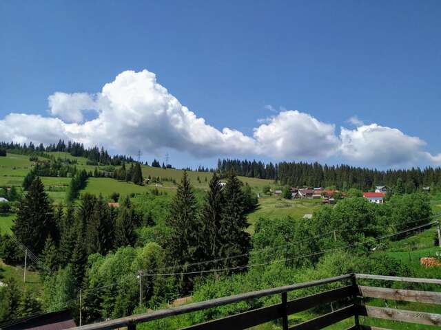 Фермерские дома Pensiunea Agroturistica Casa Runc Ватра-Дорней-45