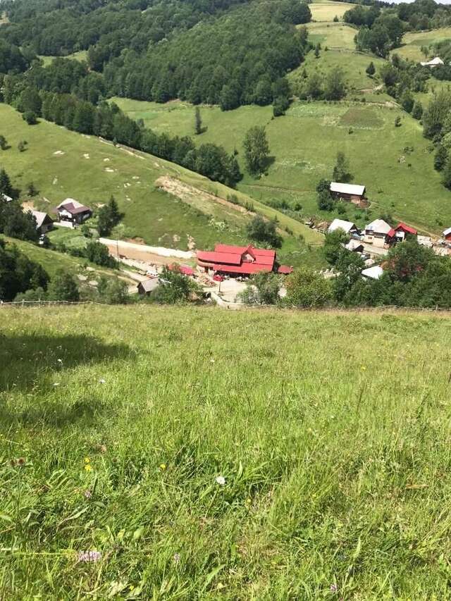 Лоджи Cabana Daianna si Jessica Poiana Vadului-43