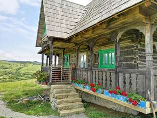 Загородные дома Casa Glod Glod Одноместный номер-7