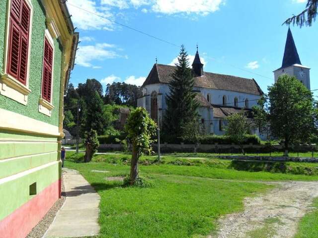 Гостевой дом Casa Arthur Richis Richişu-32