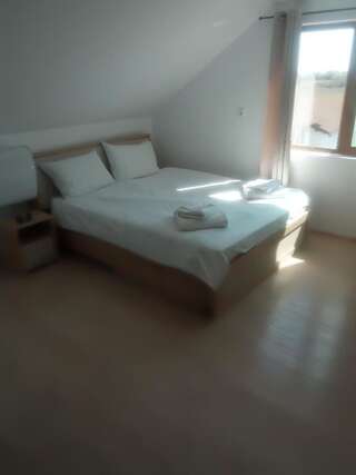 Фото номер Corsarul Двухместный с 1 кроватью или 2 отдельными кроватями и душем