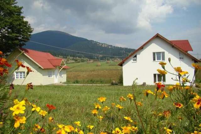 Виллы Casa Ana Vatra Dornei Dealu Floreni-3