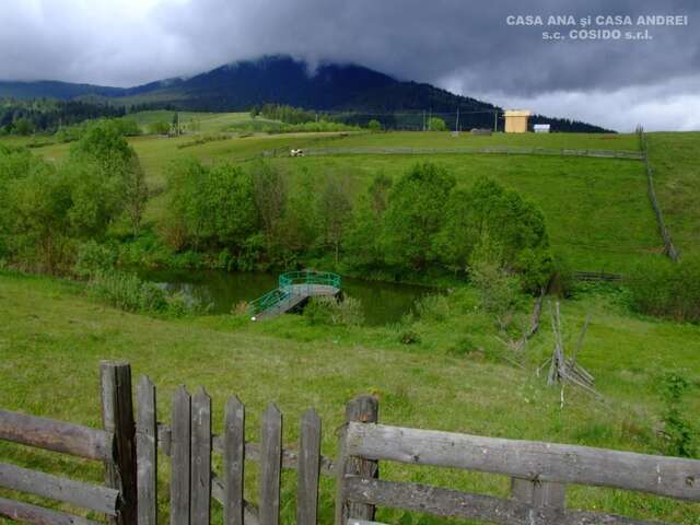 Виллы Casa Ana Vatra Dornei Dealu Floreni-12